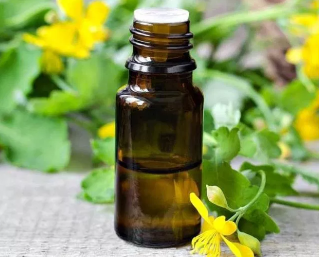 The oil of the plant